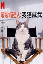 Kitty Love: An Homage to Cats