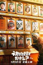 Follow Bear to Adventure