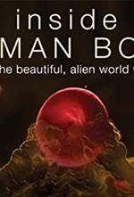 Inside the Human Body