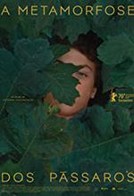 The Metamorphosis of Birds